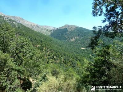 Garganta de Nuño Cojo-Piedralaves; parque natural del alto tajo nacimiento del rio cuervo cuenca